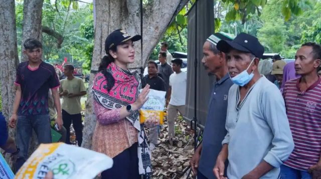 Penyerahan bantuan benih jagung dan traktor dari Kementerian Pertanian kepada kelompok tani di Dharmasraya.